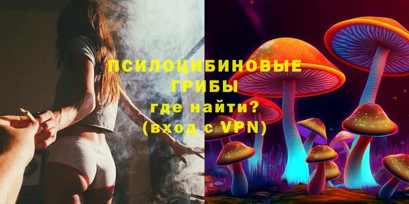 мориарти состав  Алексин  Псилоцибиновые грибы Magic Shrooms 